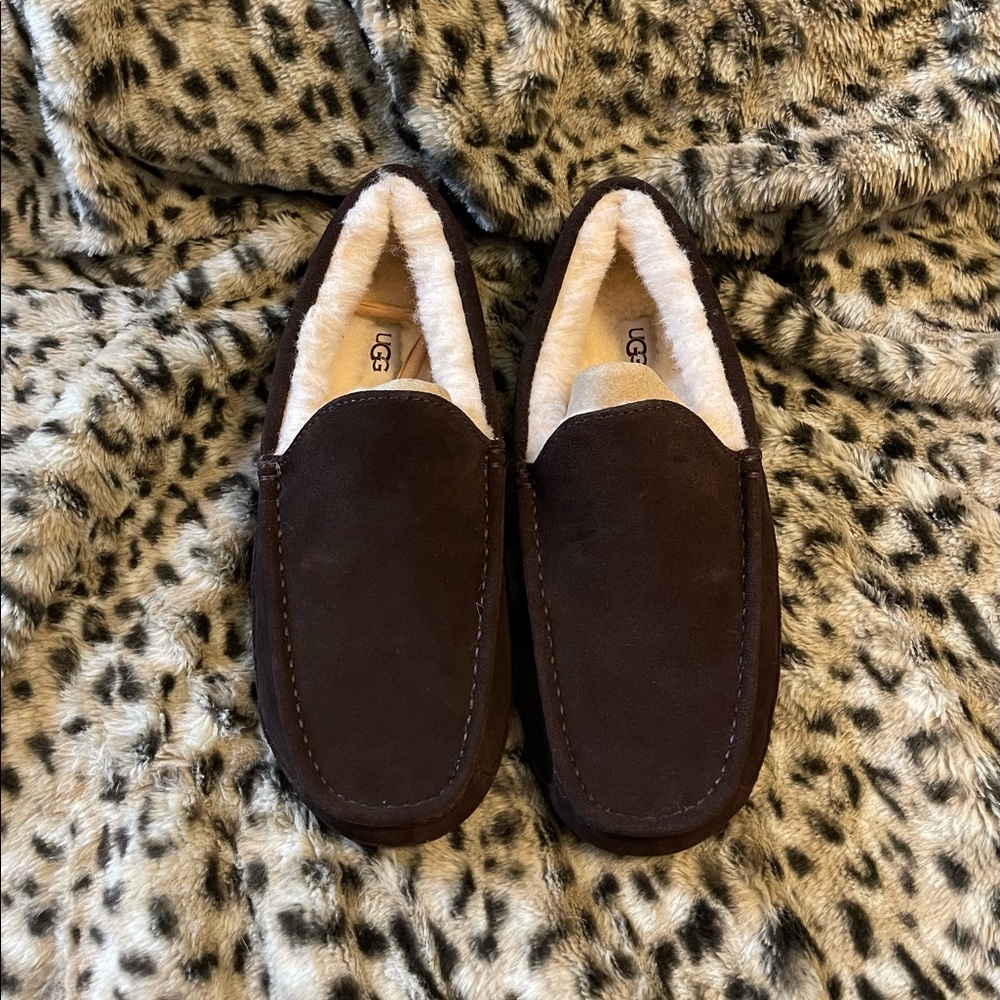 Ugg Mens Ascot Slipper Espresso Size 11